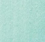 06104 Mint